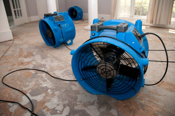 Best 24-hour water damage restoration  in Painted Post, NY