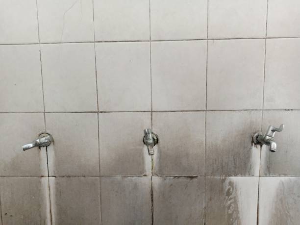 Best Water damage cleanup near me  in Painted Post, NY