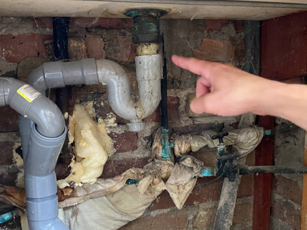 Best Water damage contractors near me  in Painted Post, NY